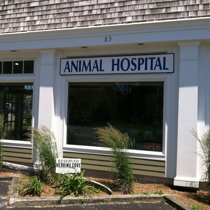 Herring Cove Animal Hospital in Provincetown